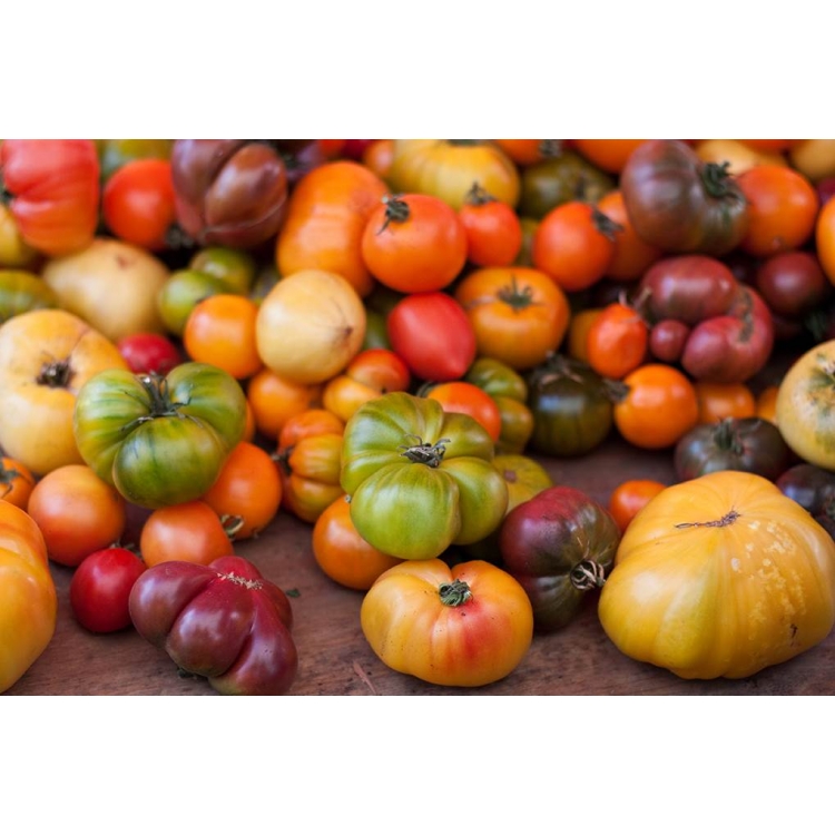 Rainbow Mix Beefsteak Tomato Seeds Indeterminate Extra, 52% OFF