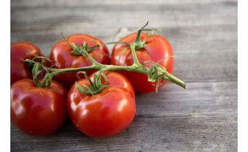 Tomato Grosse Lisse Tray