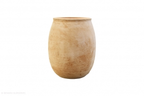 Terracotta Jar LOE, Anterra