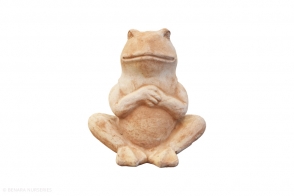 Frog Sitting, Mterra