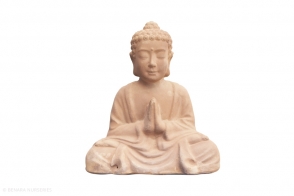 Buddha, Mterra
