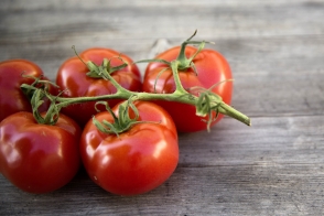 Tomato Grosse Lisse Tray