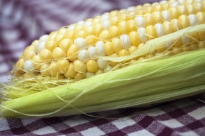 Corn Bicolour Tray