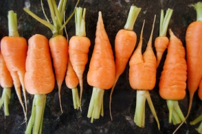 Carrot Baby GF Tray