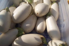 Eggplant Ivory Tray