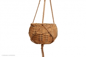 Hanging Basket, Natural