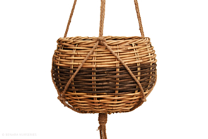 Basket Hanging, Natural