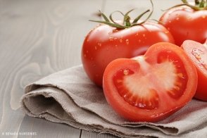 Tomato Taste Sensation GF Tray