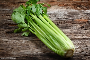 Celery Tray